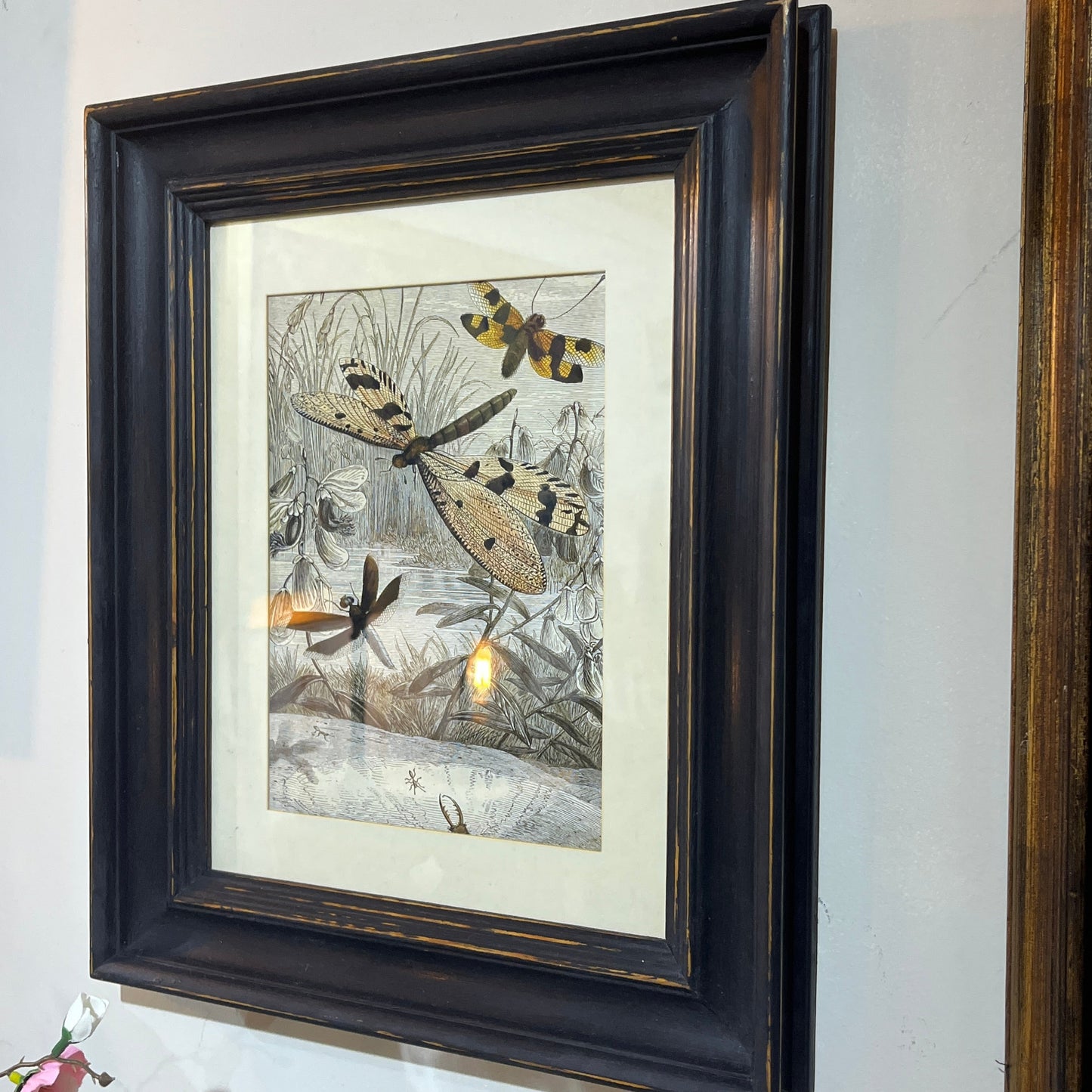 Framed wall art featuring a vintage-style illustration of dragonflies and a bee, set within a dark wood frame with a white mat, hanging on a light wall.