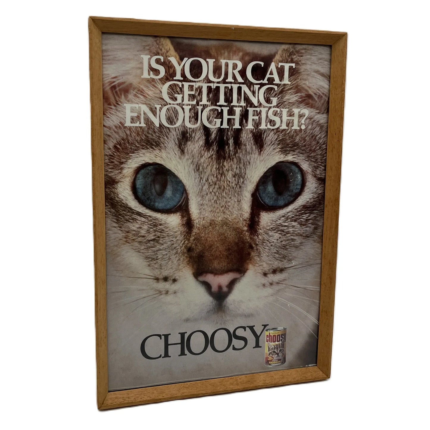 This is a vintage framed advertising poster for Choosy Cat Food. From the early 1980s, this one reads "is your cat getting enough fish". It has been framed in a wooden frame sometime in the past, which has helped to preserve it.
