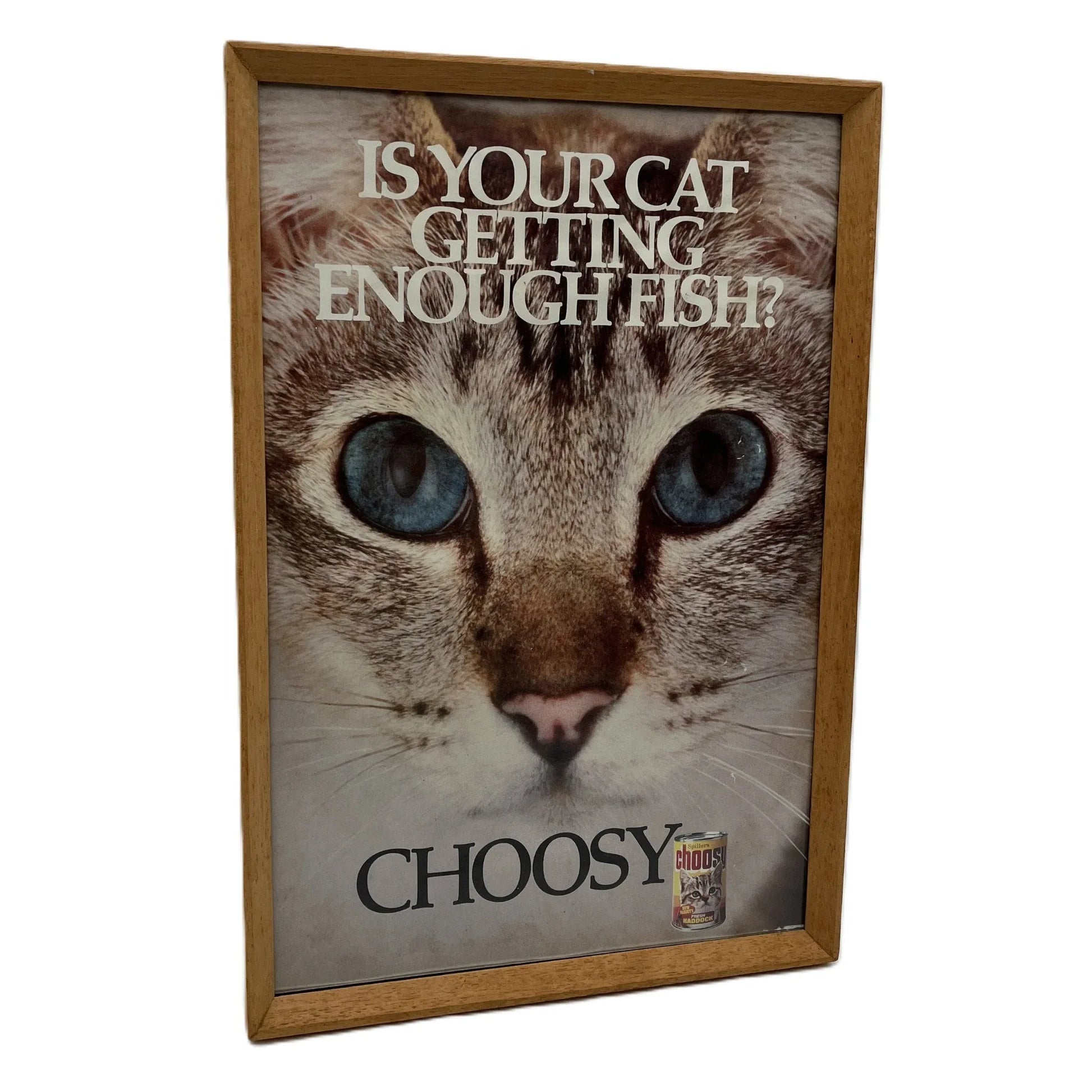 This is a vintage framed advertising poster for Choosy Cat Food. From the early 1980s, this one reads "is your cat getting enough fish". It has been framed in a wooden frame sometime in the past, which has helped to preserve it.