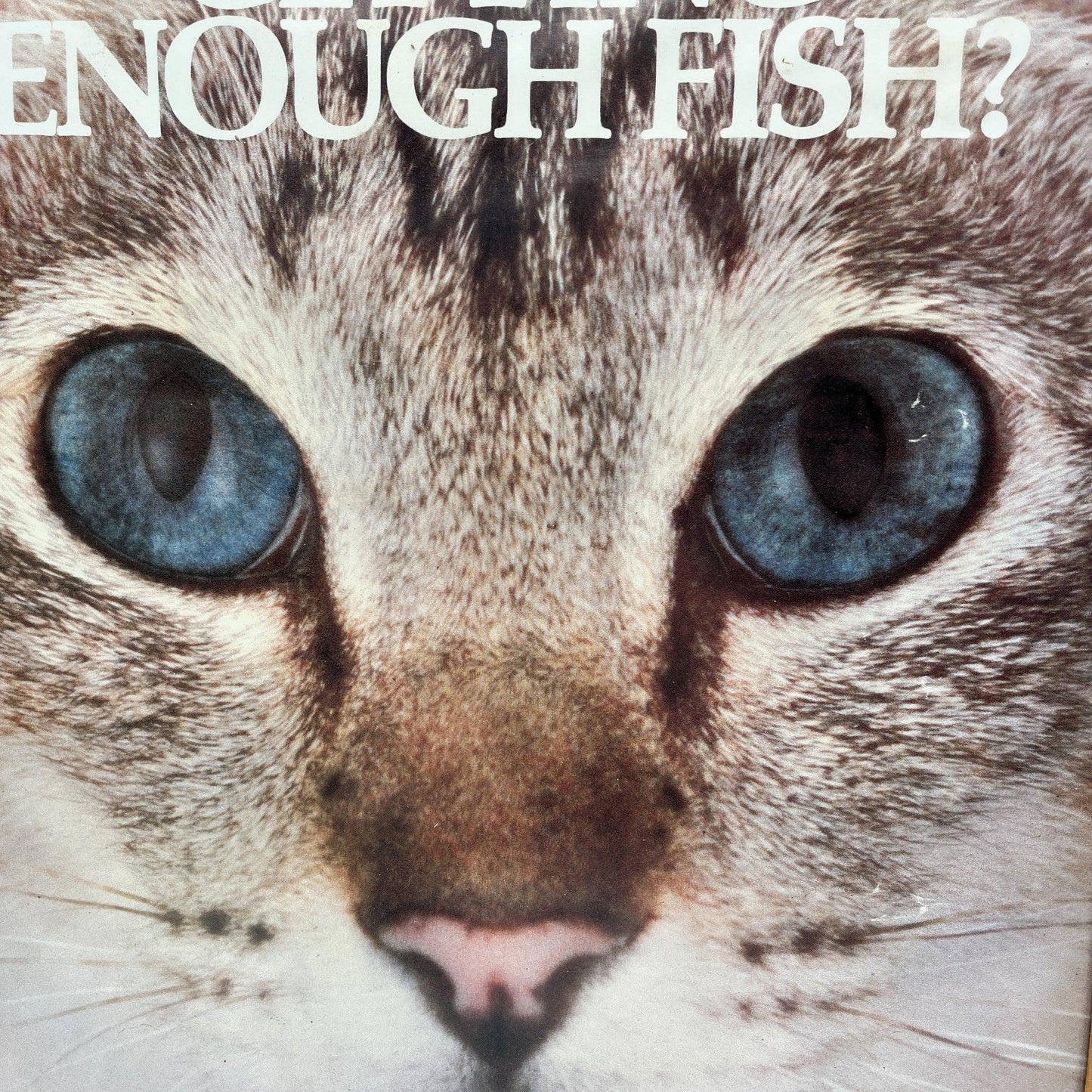 This is a vintage framed advertising poster for Choosy Cat Food. From the early 1980s, this one reads "is your cat getting enough fish". It has been framed in a wooden frame sometime in the past, which has helped to preserve it.