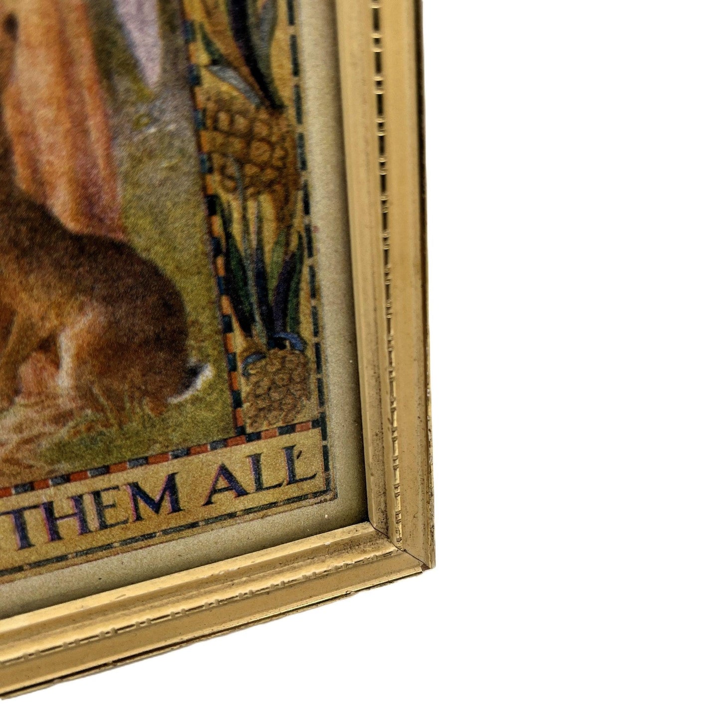 This is a vintage framed print of the illustration titled "All Things Bright and Beautiful" or "All Things Wise & Wonderful" by the English illustrator Margaret W.Tarrant (1888-1959). 

